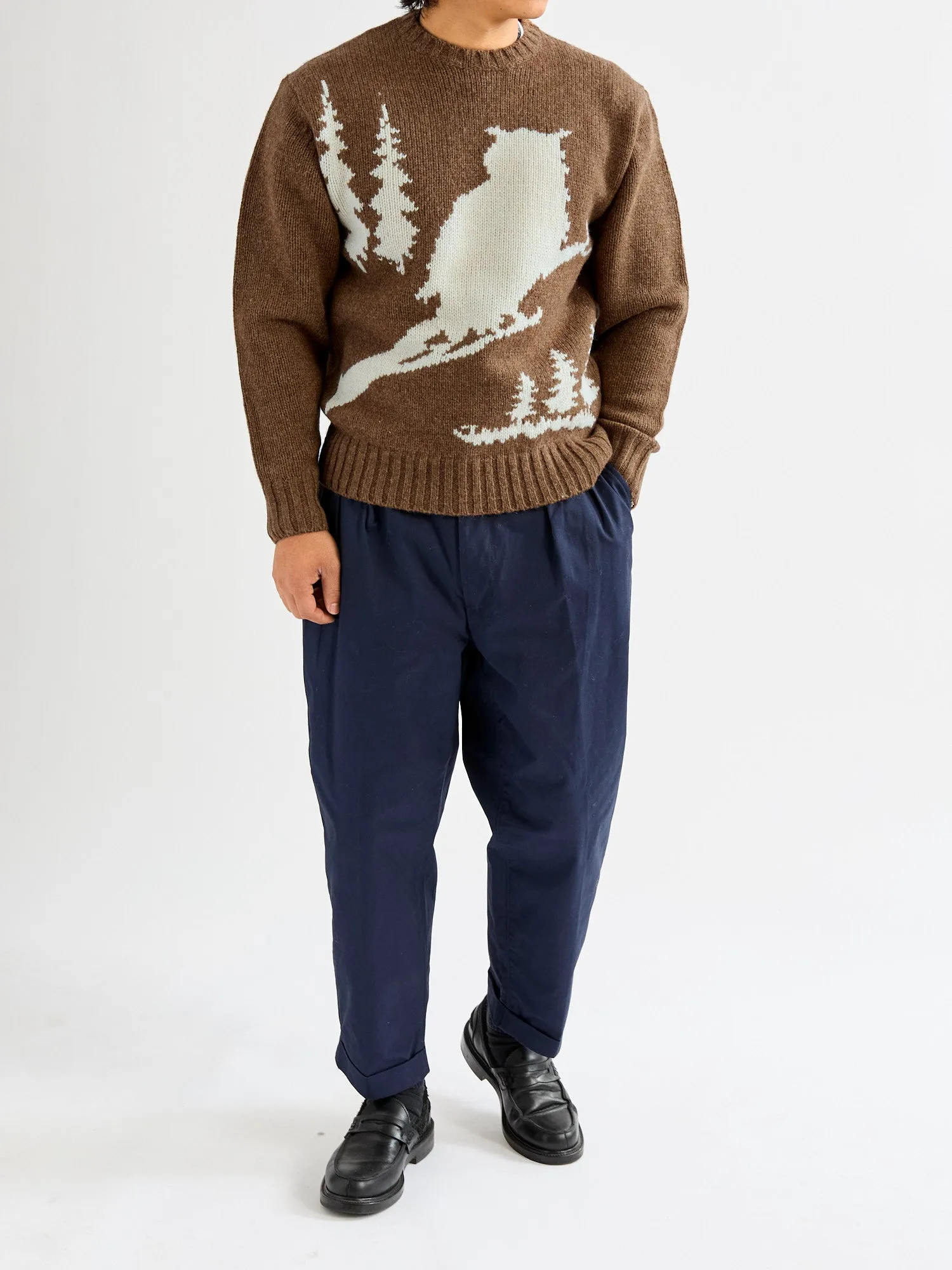Intarsia 3-Gauge Crewneck Sweater in Brown