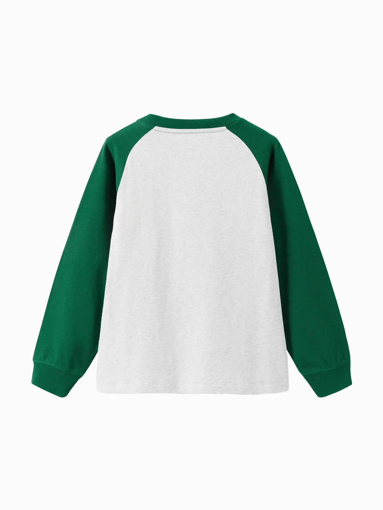 Unisex Daily Life Green Gray Hue Letter Long Sleeve T-Shirt